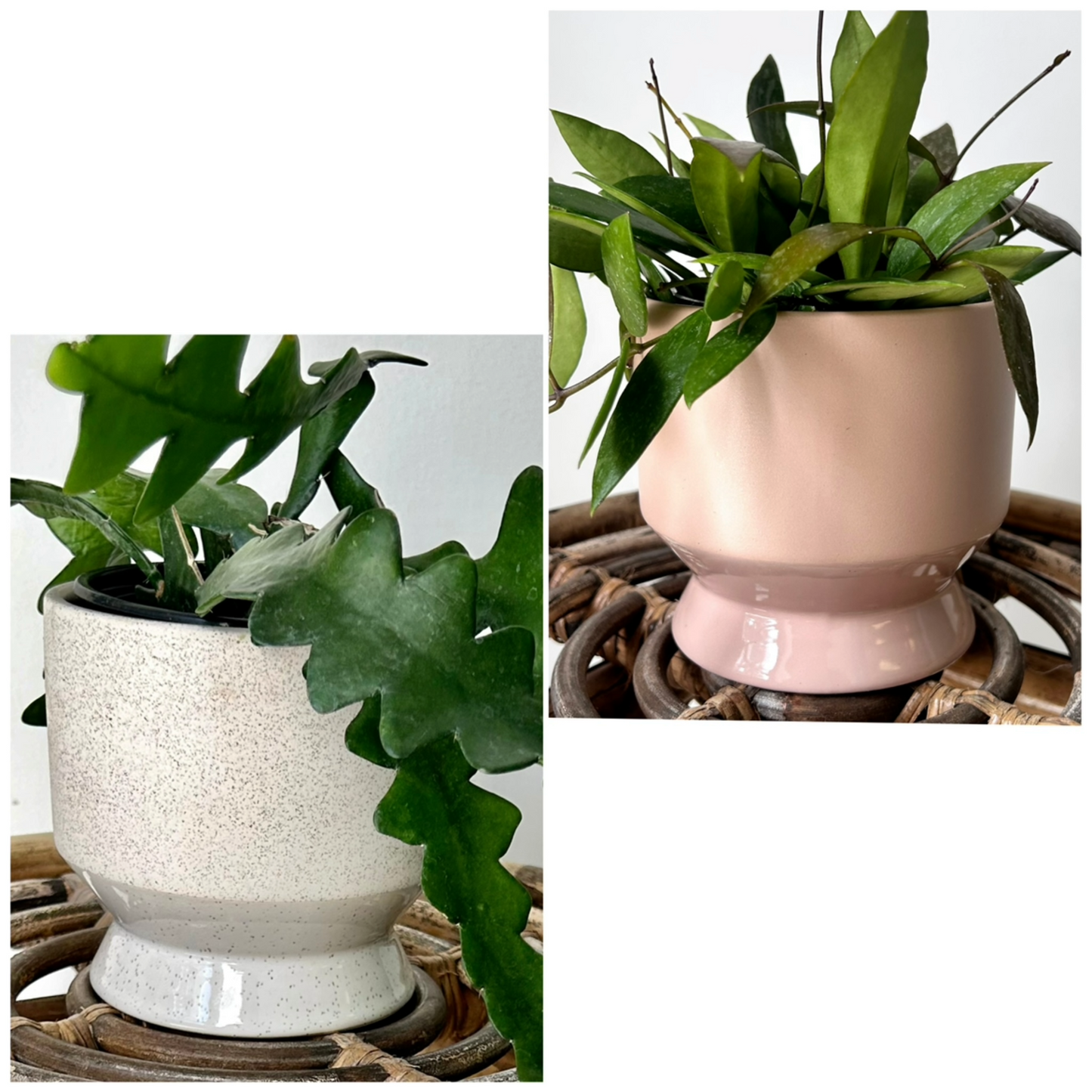 PASADENA Decorative Raised Pot 4.5”x5”