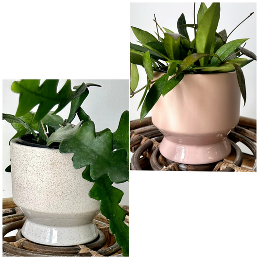 PASADENA Decorative Raised Pot 4.5”x5”