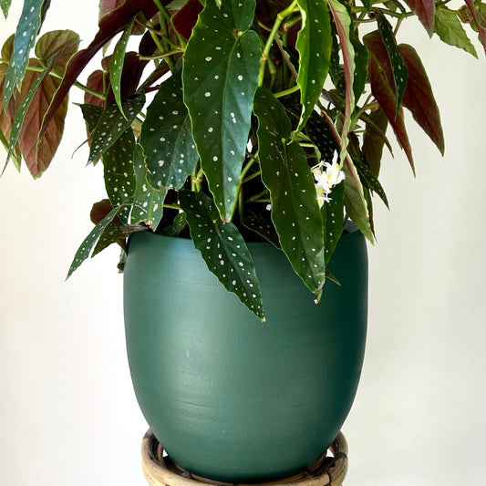 Large Modern Decorative Pot (EMERALD GREEN) 12”X13”