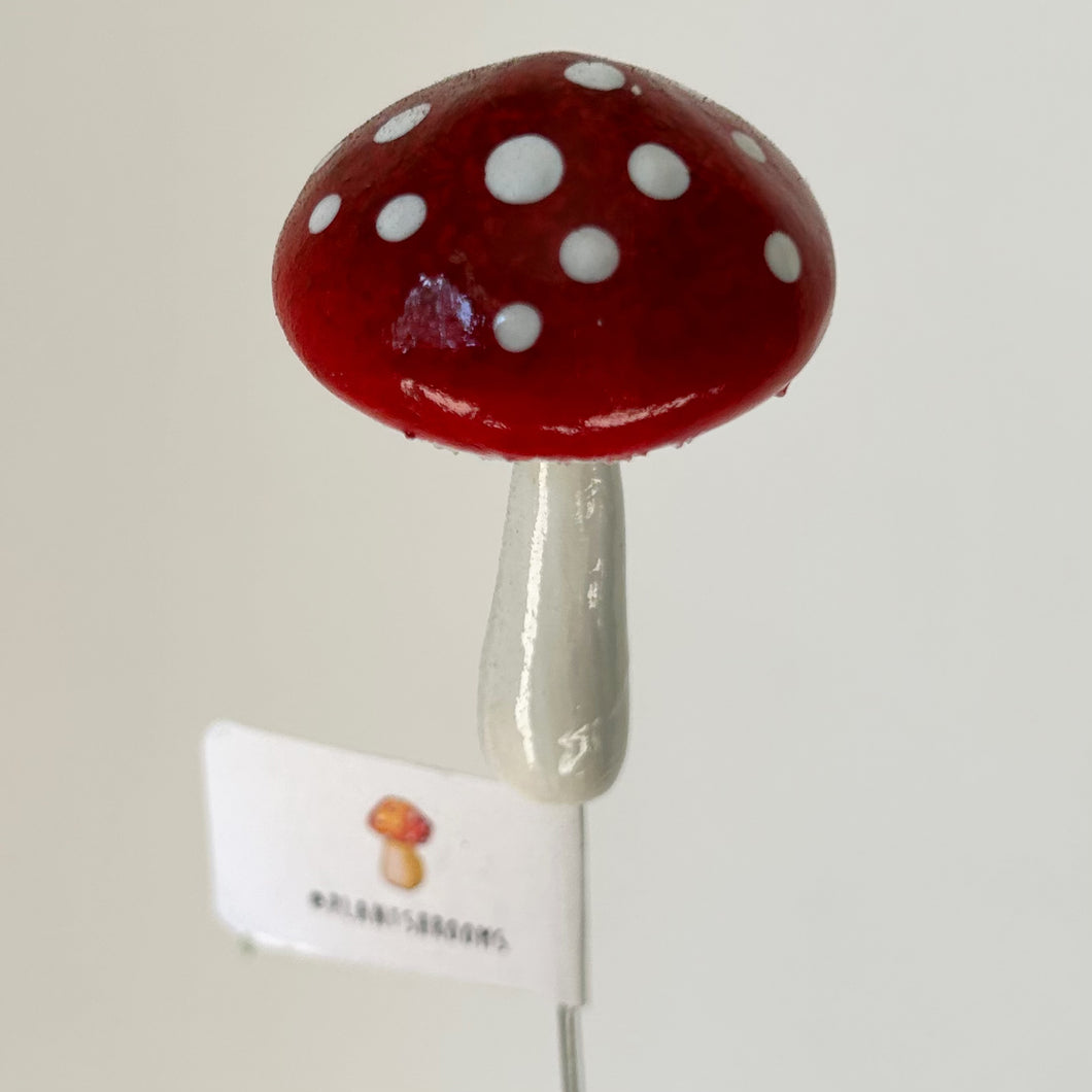 Plantshrooms decorative accent