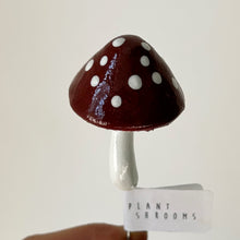 Load image into Gallery viewer, Plantshrooms decorative accent
