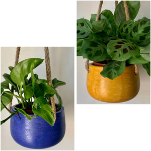 ELLA Hanging Planter (available in three colours)