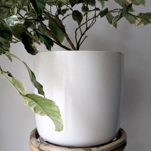 Large Ceramic Decorative Pot  (10”x10”)