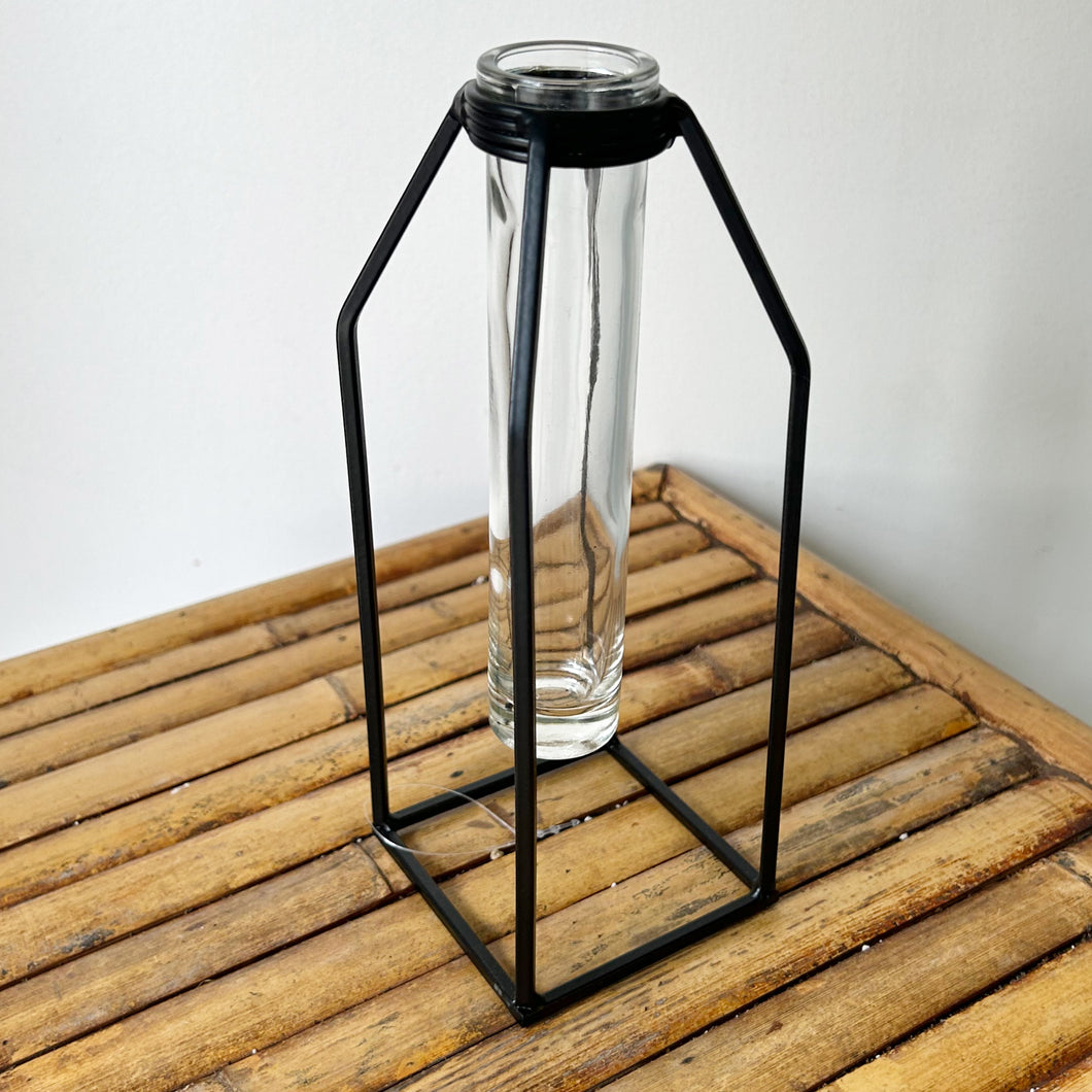 Sprout Propagation Vase with Black Frame