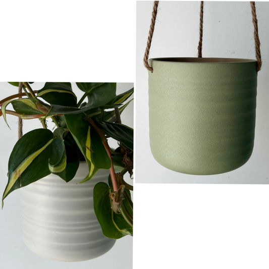 PASCAL Decorative Hanging Planter (5.5"x5”)