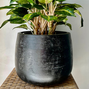 SIMCOE Modern Planter BLACK (available in 3 sizes)