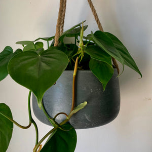 ELLA Hanging Clay Planter (available in 3 colours)