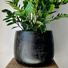 Load image into Gallery viewer, SIMCOE Modern Planter BLACK (available in 3 sizes)
