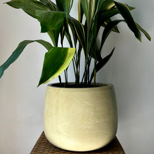 SIMCOE Large Planter (11”x10.5) BUTTERCREAM YELLOW