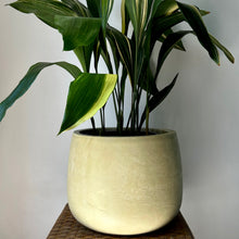 Load image into Gallery viewer, SIMCOE Modern Planter (available in 3 sizes)
