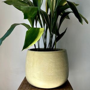 SIMCOE Modern Planter (available in 3 sizes)
