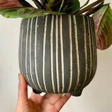 Load image into Gallery viewer, CHEYENNE footed concrete pot (5.5”X5”) CHARCOAL GREY

