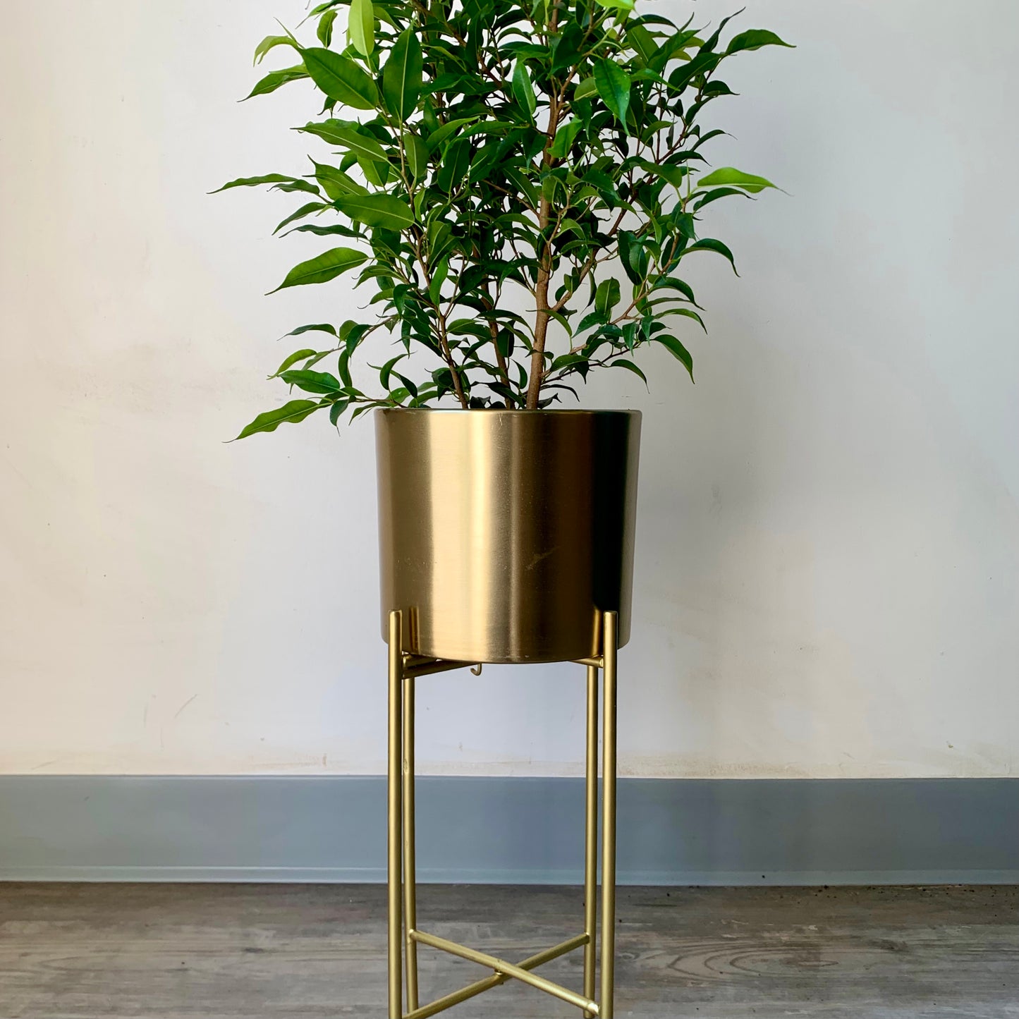 PAULINA Metallic Planter + Stand