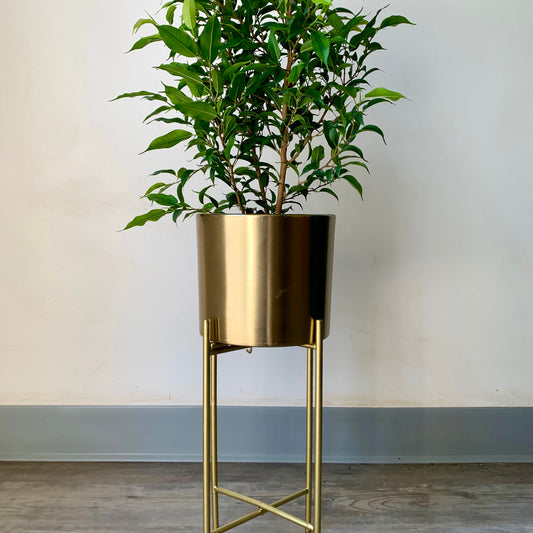 PAULINA Metallic Planter + Stand