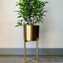 Load image into Gallery viewer, PAULINA Metallic Planter + Stand

