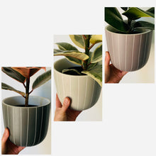 Load image into Gallery viewer, VALE STRIPED Cylindrical pot 5.5”x5.5”
