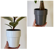 Load image into Gallery viewer, BAILEY Decorative Cover Pot 5”X5” (available in TWO colours)
