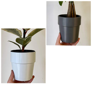 BAILEY Decorative Cover Pot 5”X5” (available in TWO colours)