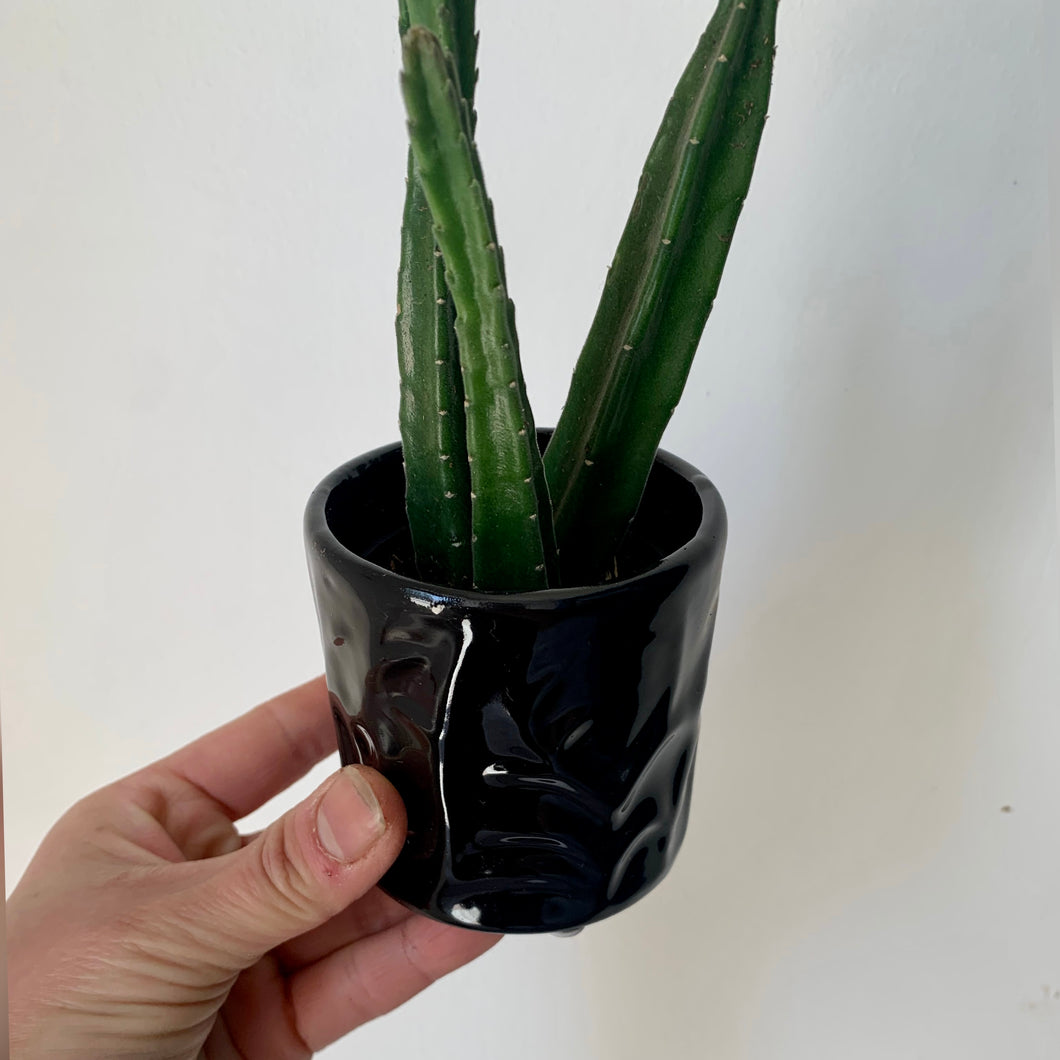 LEVI Small Decorative Cylindrical Pot 2.5” pot GLOSSY BLACK