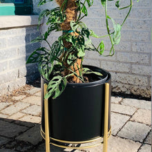 Load image into Gallery viewer, AINSLEY Large Lightweight Modern Planter + Gold Stand (11”X8.5”) available in two colours
