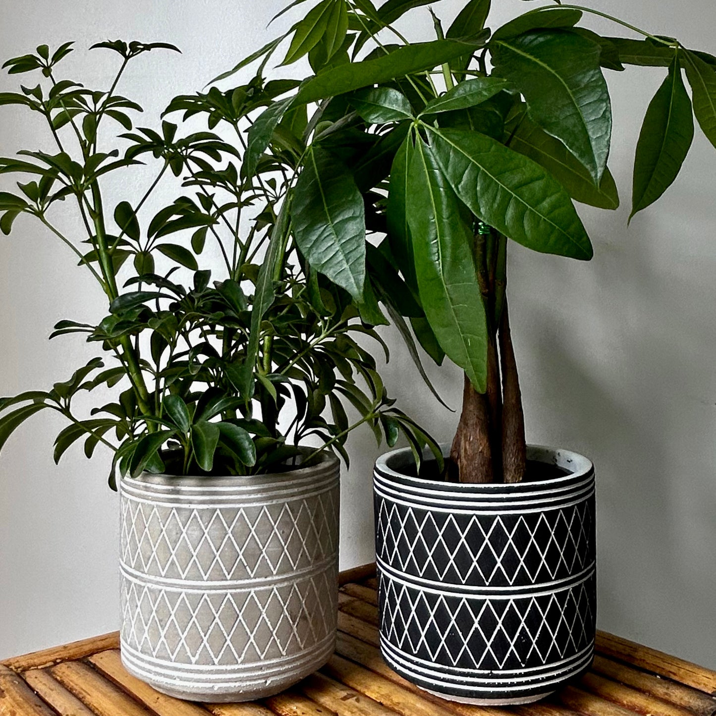 GLADSTONE Concrete Patterned Decorative Pot 5”X5” (available in TWO colours)