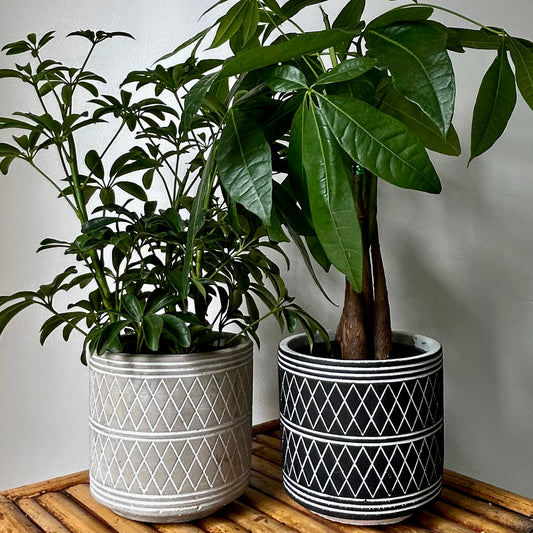 GLADSTONE Concrete Patterned Decorative Pot 5”X5” (available in TWO colours)