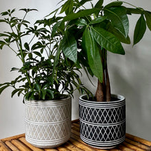 Load image into Gallery viewer, GLADSTONE Concrete Patterned Decorative Pot 5”X5” (available in TWO colours)
