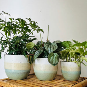 SEABREEZE Decorative Pot (available in 3 sizes)