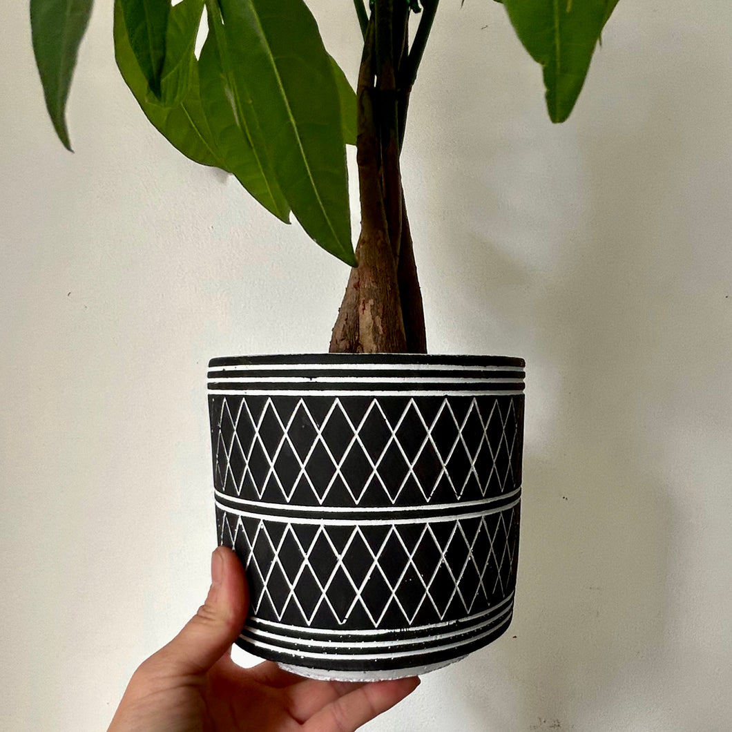 GLADSTONE Concrete Patterned Decorative Pot 5”X5” (available in TWO colours)