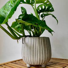 Load image into Gallery viewer, CHEYENNE Grey footed concrete pot (available in two sizes )
