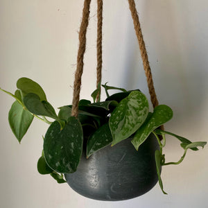 ELLA Hanging Clay Planter (available in 3 colours)