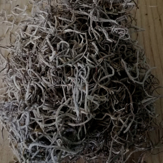 Preserved spanish moss (undyed)