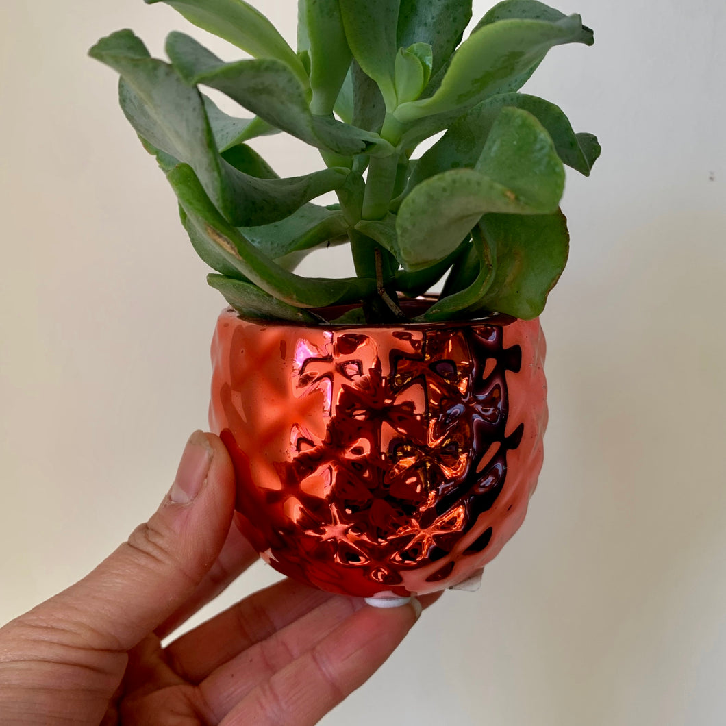 PINK PINEAPPLE small decorative pot 2.5”X2.5”