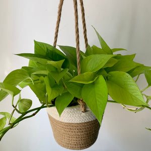 MADISON two-tone hanging cotton planter (7.5”X6”)