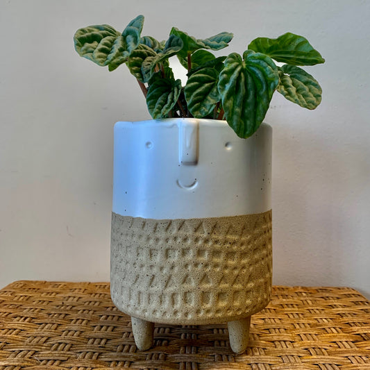 CALVIN Footed Face Planter (5.75”X6.5”)