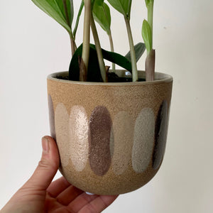 AUDREY Paintbrush Ceramic cover pot (4”x4”) Available in two designs