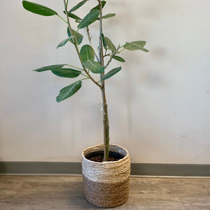 ORLIN Decorative Plant Basket (3 sizes available)