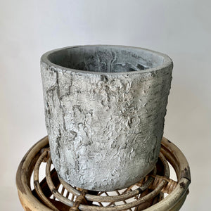BIRCH Cylindrical Concrete decorative Pot (8”x8)