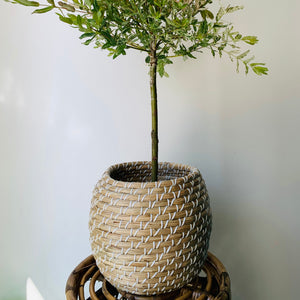 ALDER sphere decorative seagrass planter ”6.5”X8”)