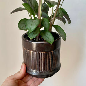 KATALINA Dark Copper Decorative Pot 3.5”X3.5”