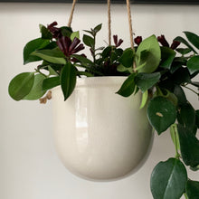 Load image into Gallery viewer, HELENA Large Hanging Decorative Pot (7&quot;X5.5&quot;)
