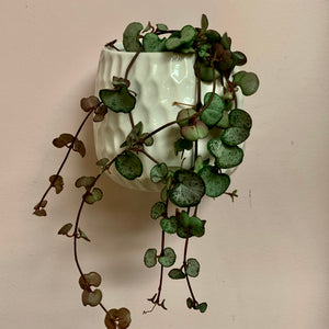 Honeycomb 4” Ceramic Wall Pot