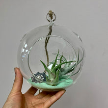 Load image into Gallery viewer, Sphere Glass Terrarium (available in two sizes)
