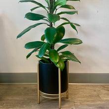 Load image into Gallery viewer, HOLLIS Modern Pot + Stand  6”X7.25” (available in black &amp; white)
