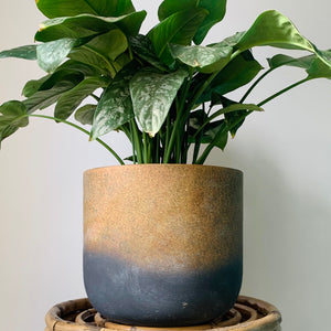 Oceania Large Decorative Cover Pot