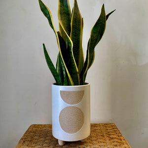 LOUIE elongated footed planter (5”X7”)