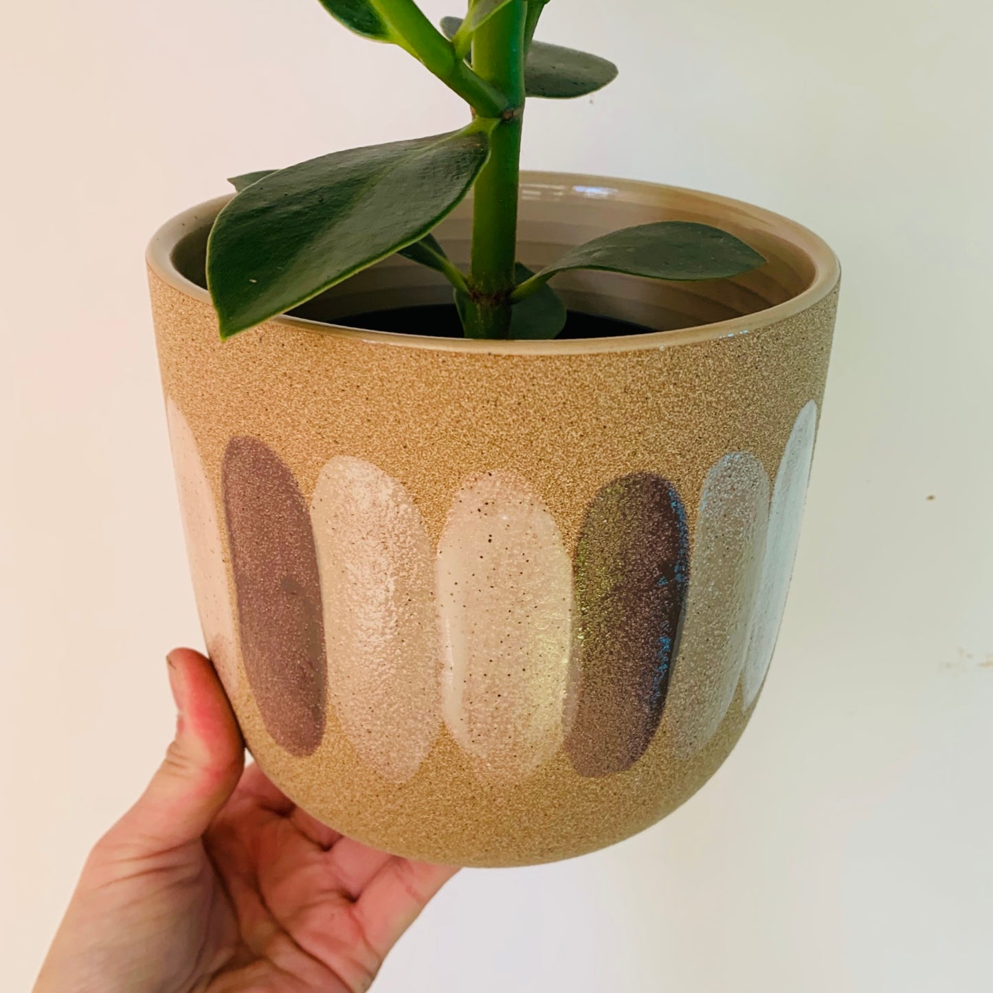 Audrey Paintbrush Cover Pot (5.25”X5.5”) two designs available