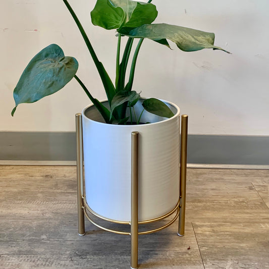 HOLLIS Modern Pot + Stand  6”X7.25” WHITE