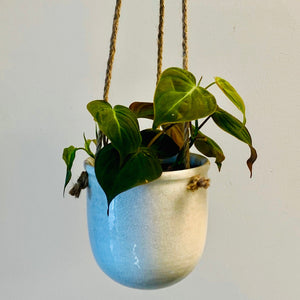 HELENA Hanging Decorative Hanging Pot (4"X4")