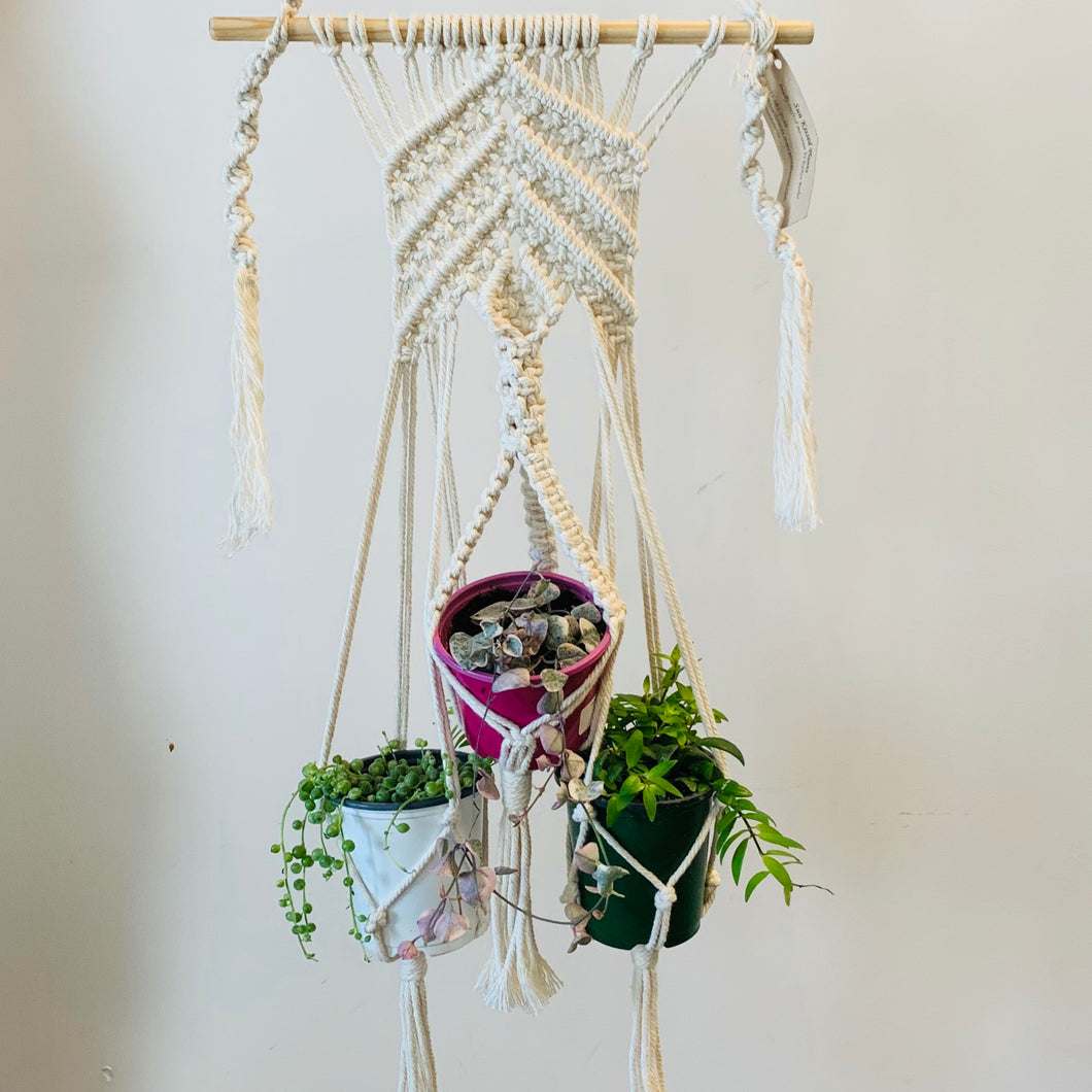 Triple Macrame Hanger (available in 2 designs)